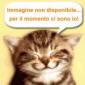 Ritratto di Dino Della Lama