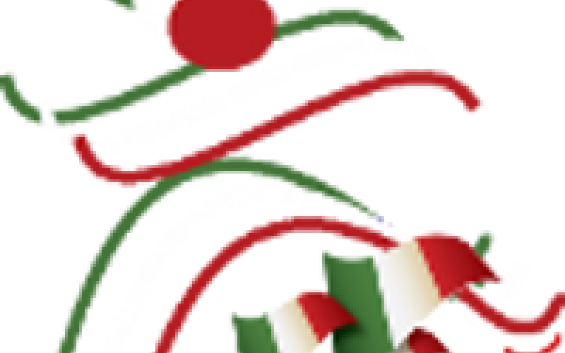 Logo Running Italia 